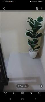Product Review of TANAMAN ARTIFICIAL KETAPANG  PUTIH 23DAUN(sudah+pot) from L**u O**i 0