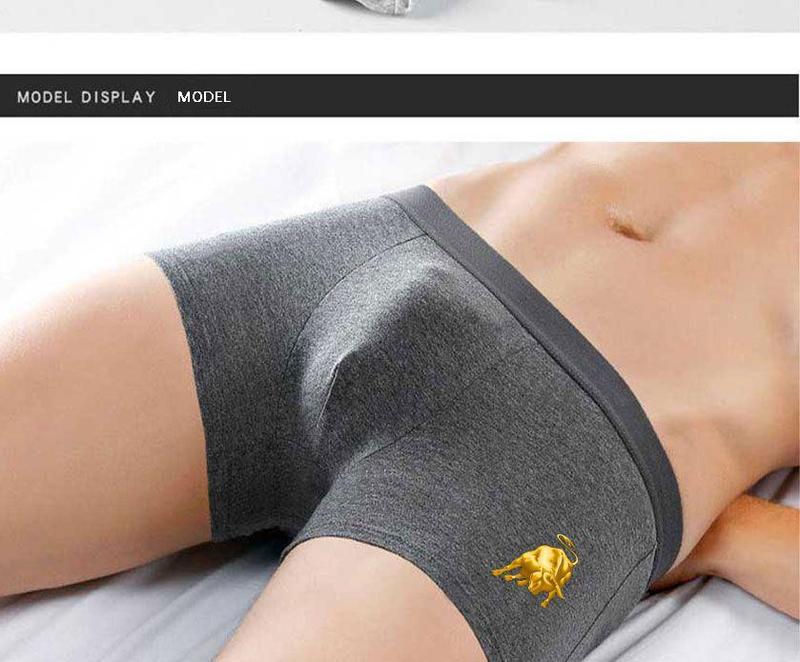 Product Introduction of High-quality 4-pack men&#39;s underwear, men&#39;s high-end cotton boxer briefs, trendy boys&#39; boxer shorts, large size 18