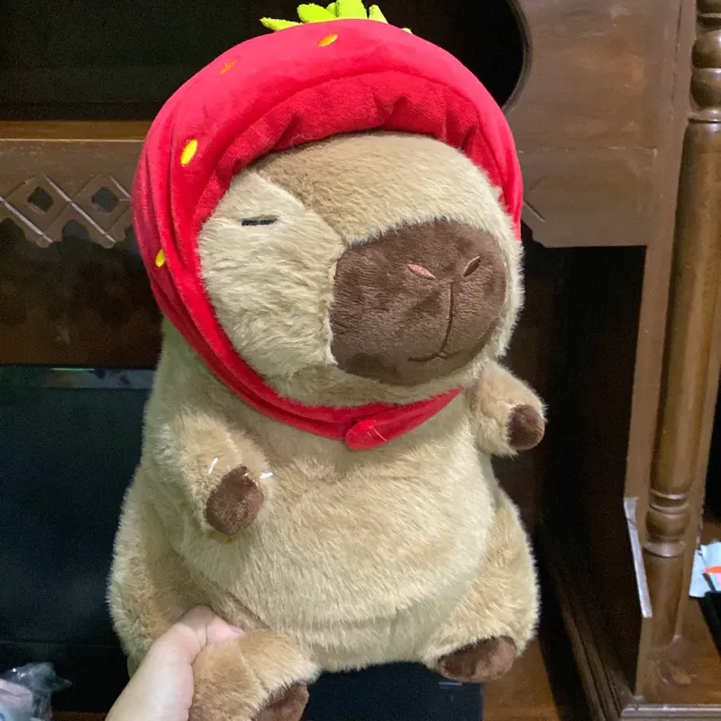 {PART 10} BONEKA JUMBO OH SOME BONEKA TUKAR STAR JUMBOOOO {PART 10} BONEKA JUMBO OH SOME BONEKA TUKAR STAR JUMBOOOO