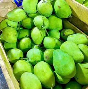 Mangga Muda Asam 1Kg (baca describsi)