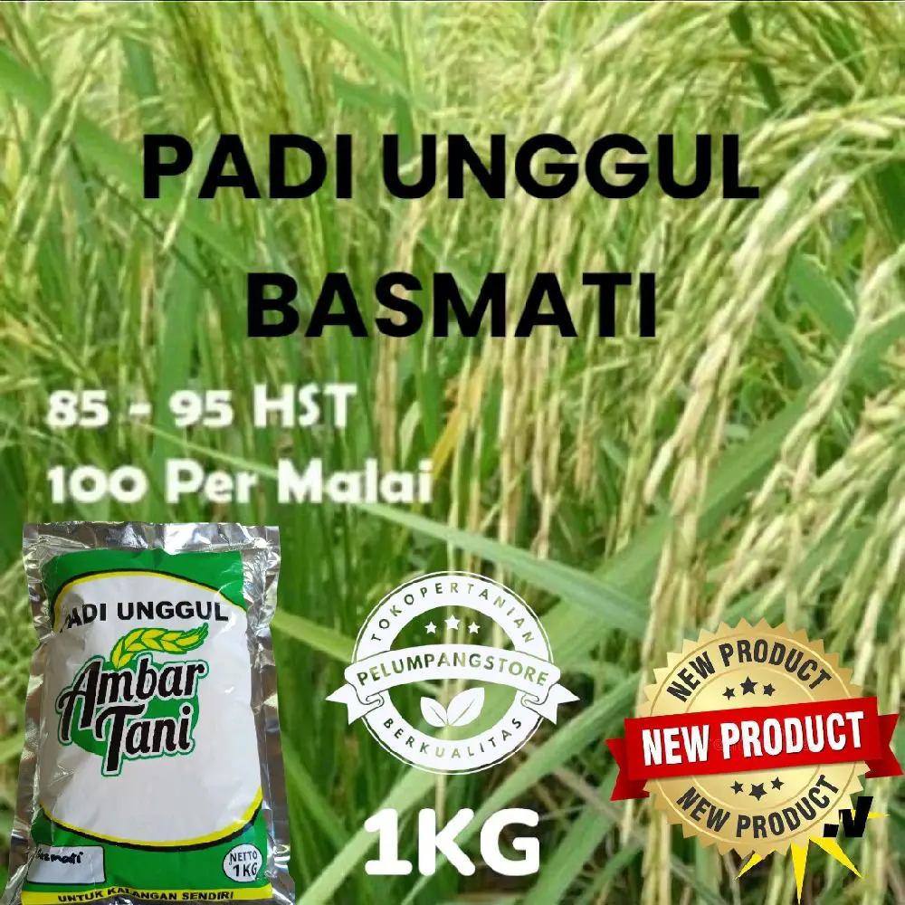 BENIH PADI UNGGUL BASMATI PREMIUM KEMASAN 1KG