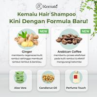 Gambar 2 Pcs Kemaiu Shampoo Rambut Rontok & Sampo Penumbuh Rambut Cepat Ori Haircare Shampo Mengurangi Rambut Rontok Merangsang Pertumbuhan Rambut Baru Menguatkan Akar Rambut Sampo Kemiri - Aloe Vera Kopi Arabica Jahe Lidah Buaya Diaminopyrimidine Oxide 250ml dari Kemaiu Kota Surabaya 3 Tokopedia