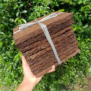 Paket 10 Pakis Lempeng / Akar Pakis / Media Tanaman Anggrek / Pakis Kotak