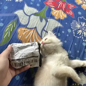 Holycatlabs Tetes Perawatan Cacingan Royal Care Kucing Anjing 10 ML