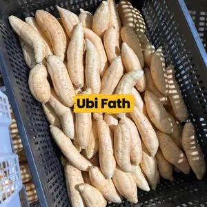 UBI CILEMBU MADU ASLI / SPEK SUPER / 1000 gram isi 3 sampai 6