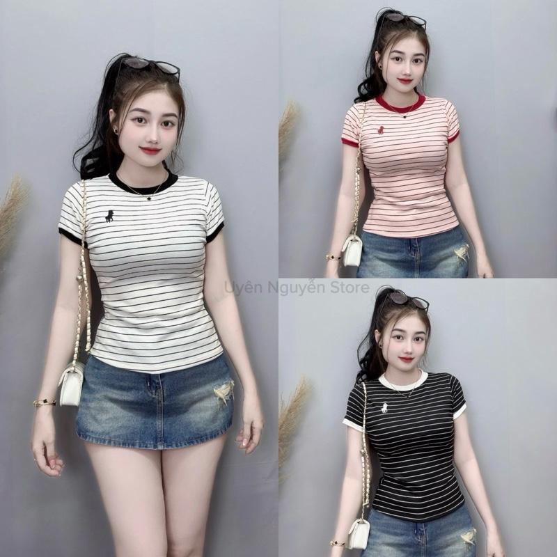 A68- Áo thun vải zip cotton mềm ~ thêu ngựa dáng ôm tôn dáng by Uyên Nguyễn Store