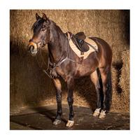 Gambar Harry's Horse Breastplate Deluxe. Menjaga saddle tetap stabil & tidak bergeser. - Black Full dari BTS Tack Shop Kab. Tangerang 3 Tokopedia