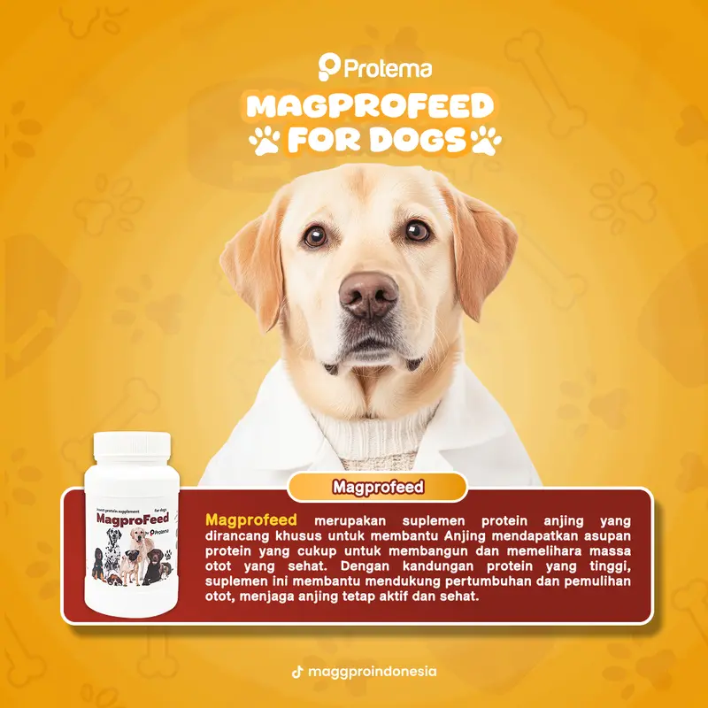 [EXTRA JUMBO] MAGPROFEED - VITAMIN ANJING 625GR | Penggembul Anabul, Boost Penambah Nafsu Makan, Melebatkan Bulu, Cegah Kerontokan 6