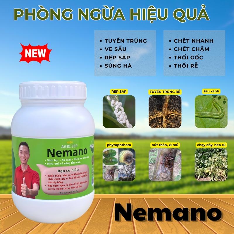 Phân bón Săn Tuyến Trùng Nemano hạn chế u sưng rễ do tuyến trùng gây ra hủ 1kg pha 400 lít