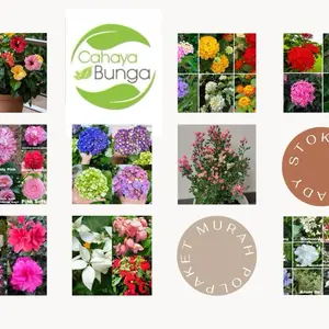 Link Co paket tanaman berbagai jenis - banyak jenis tanaman berbunga