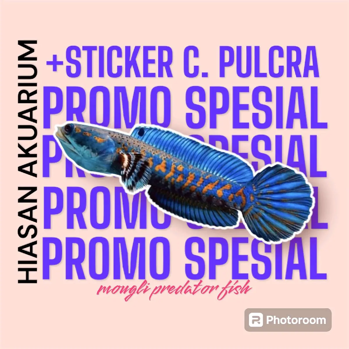 sticker blue pulcra 9-11cm mougli fish