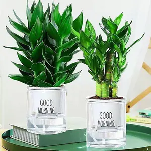 [Waktu terbatas dan gratis ongkos kirim]Ornamen Rumah Ornamen Kekayaan Keberuntungan Pothos palsu bahan plastik