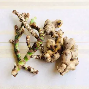 Dlingo Jaringau Bangle Panglai Segar 1 Paket 100 Gram Bersih Herbal