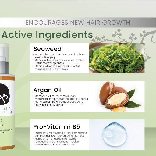 Product Introduction of Shumi Japan Hair Tonic Menumbuhkan & Merawat Rambut Rontok Haircare Treatment 2