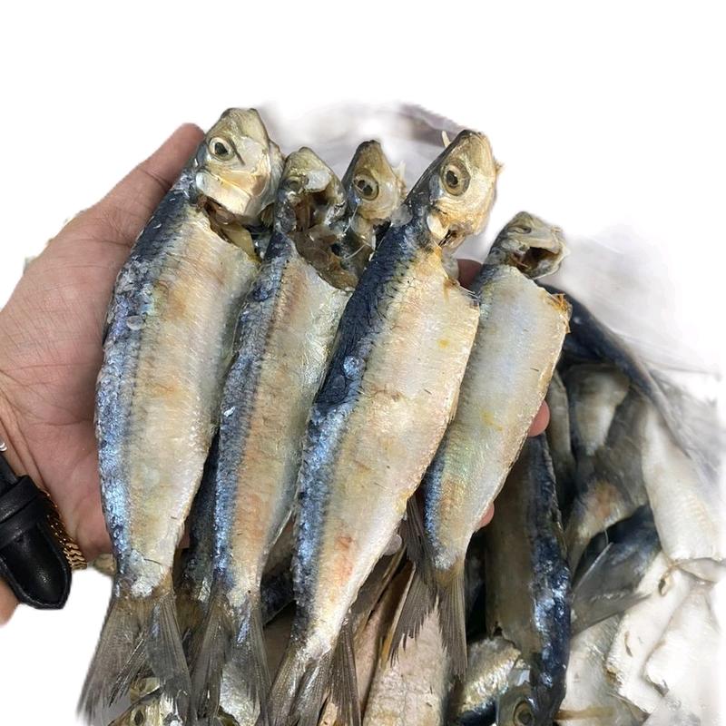 ikan tamban bot sisik putih - TikTok Shop Malaysia