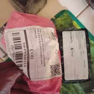 PROMO BISA COD KAPSUMA (KIANPI GINGSENG) ORIGINAL sesuai gambar