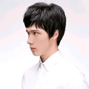 Full Wig Pendek Pria Korea / Rambut Pendek Pria Pendek Model rapi warna hitam natural