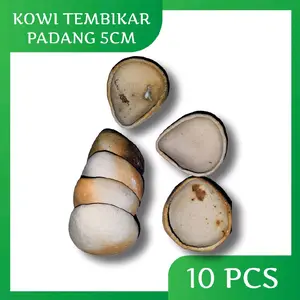KOWI TEMBIKAR PADANG ukuran 5cm isi 10 pcs Alat lebur Emas