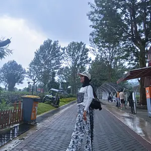 FADFAD Setelan dua potong dengan atasan lengan pendek modis dan celana panjang bermotif baru