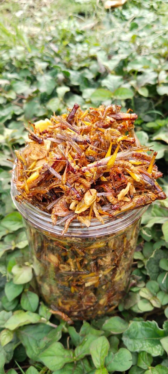 Product Introduction of CEMILAN EXTRIM /WALANG/BELALANG GORENG TOPLES PANJANG 210 GRAM Rendah lemak 1