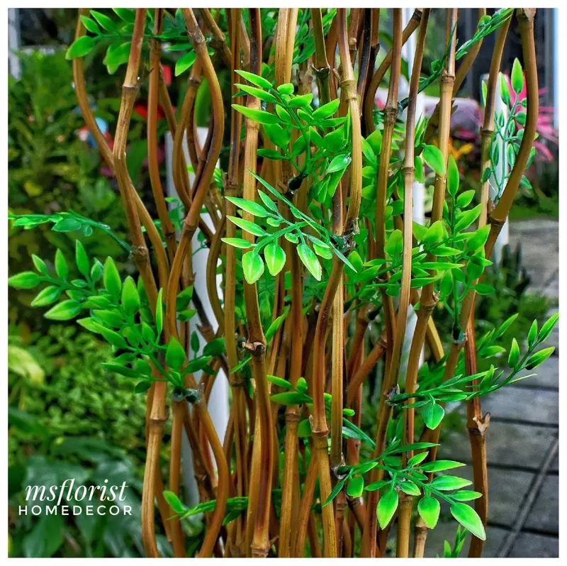 10 Btg Bambu Ulir Cendani Daun Cordelia 142 cm Tanpa Pot - Dekorasi Shabby Warna Natural 4