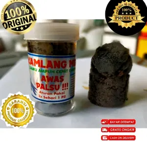 kamlang gold merpati kamlang basah untuk merpati