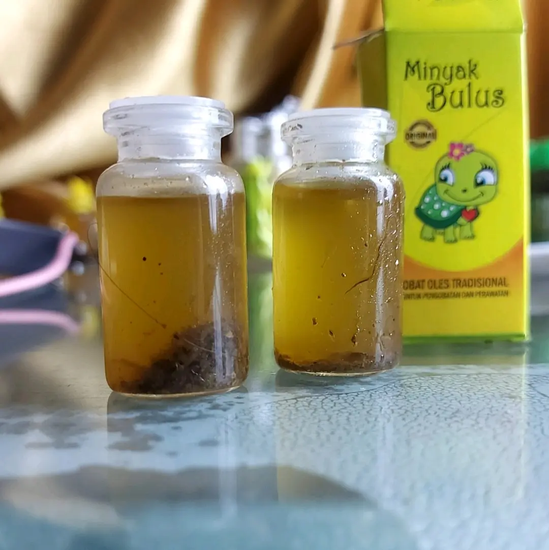 2 Botol Nutrisi untuk burung sehat dari minyak bulus+3 jari papua bpom,burung jadi gemuk tinggi dan berurat, penambahab tinggi 2~4 cm, kicauan lebih lama