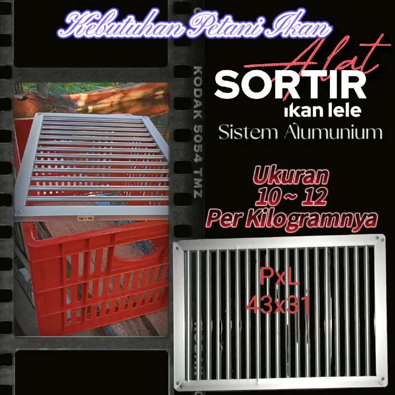 Alat sortir ikan lele 1kg isi 10-12. sistem terbaru 3