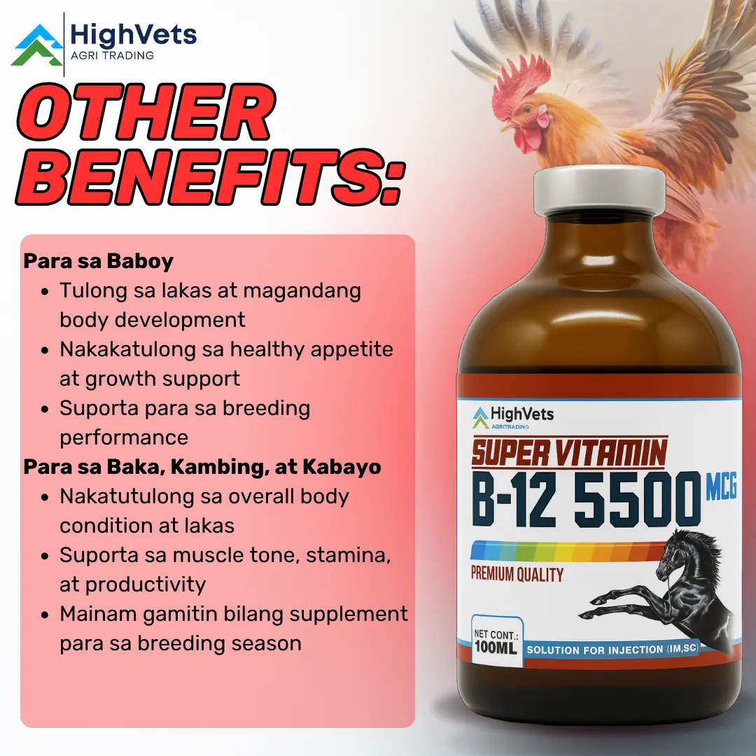 can b12 injections give you diarrhea do b12 injections cause diarrhea Vitamin B-12 1000 Injection (VetOne), 100  mL