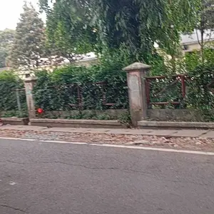 Gula Batu Kristal Kuning 1Kg kecik organik tanpa bahan pengawet manis alami Food Sugar