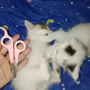 LIVO Gunting Kuku Hewan Pet Nail Clipper Kucing Anjing Cat Reptil Dog Puppy Stainless Steel