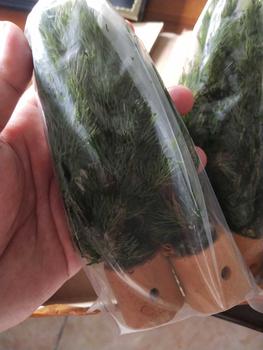 Product Review of COD sintetis cabomba green hiasan aquarium from B**a 1