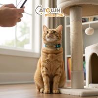 Gambar Kalung Kucing Nama Custom Tag Kulit Kalung Kucing Lucu Aksesoris kucing Kalung Kucing Kulit Kalung Kucing bisa tulis nama Kalung Kucing Custom Nama Catown - Coklat Tua dari Catown Kota Bekasi 4 Tokopedia