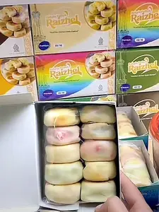 SATUAN BAKPIA PAHTOK RAIZHEL ISI 10 BAKPIA KERING Food