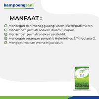 Gambar Pupuk Fertila Padi 1 500 gram Pak Tani Pupuk Untuk Padi Masa Vegetatif dari Kampoeng Tani Kab. Tuban 3 Tokopedia