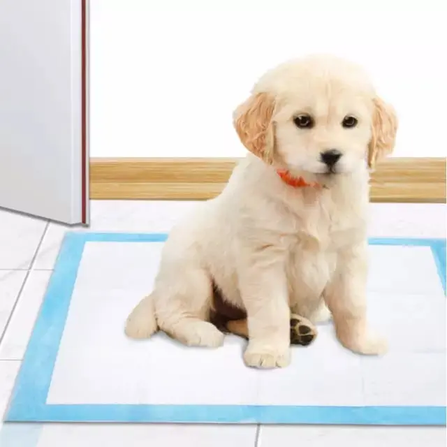 UNDERPAD 60x60cm BIG SIZE - TRAINING PAD ANJING - PERLAK KUCING - UNDERPAD - ALAS PIPIS KUCING 4