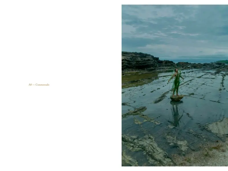 PROPHECY by Mikael Aldo — A dark yet tender, hazy yet precise photobook 3