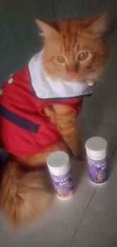 Product Review of Bye Bye Bau | Dr.Bulu - Deodorant Litter Box, Penghilang Bau Litter Box Kucing dan Anjing, Odor Remover Deodorizer from V**♍ 0