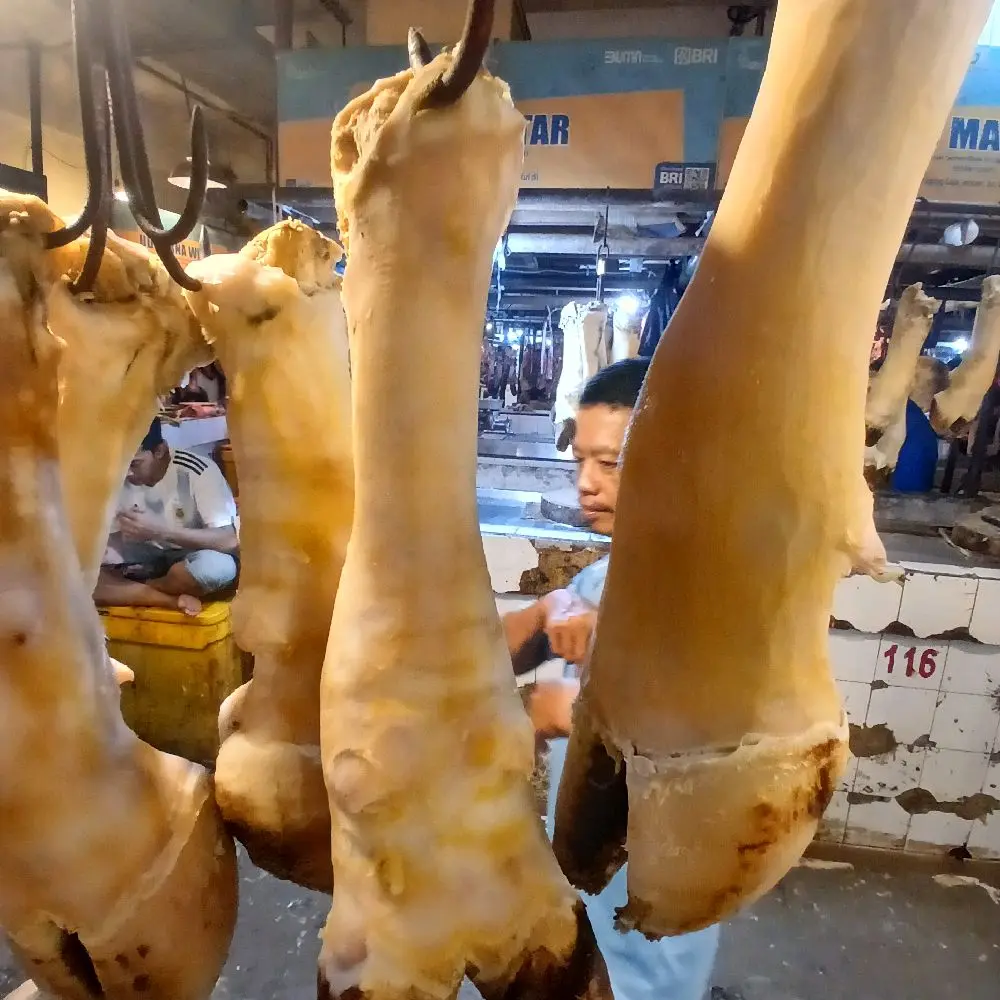 kaki sapi lokal Daging sapi lokal