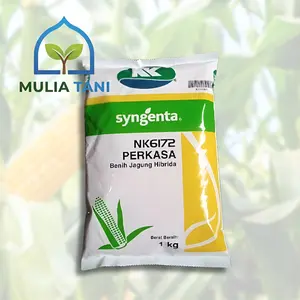 1 KG Benih Jagung NK6172 PERKASA Exp 12 09 2026