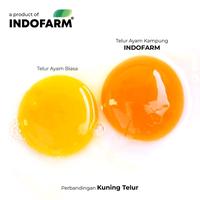 Gambar [BUNDLING 3 BOX] Telur Omega 3 Organik - INDOFARM Smart Eggs dari INDOFARM JAKARTA SELATAN Kota Administrasi Jakarta Selatan 2 Tokopedia
