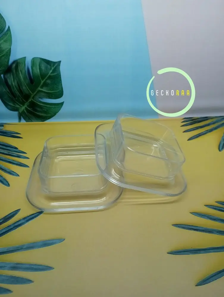 Water Dish Wadah Makan Minum Anti Semut Reptil Gecko Hamster Food Dish Tempat Makan Minuman Reptil Hamster Burung Sugar Glider