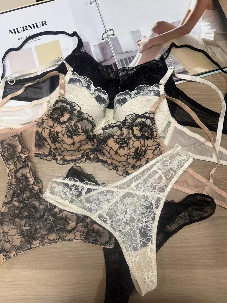 Product Introduction of Embroidery Lace Thin Cotton Underwear Transparent Lingerie Sets For Women Sexy Push Up Gather Fashion Lady Bra And Panty Sets 15