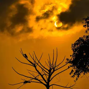 Bracelet silver premium quality green