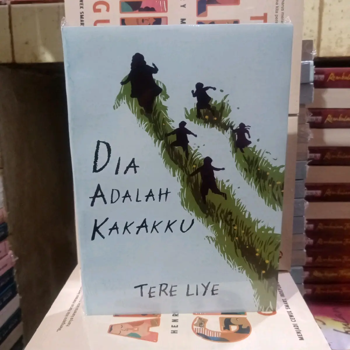 buku novel Dia adalah kakakku by tere liye