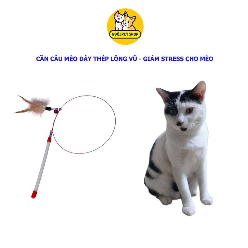 Cần câu mèo dây thép lông vũ, giảm stress cho mèo - Nuôi Pet Shop