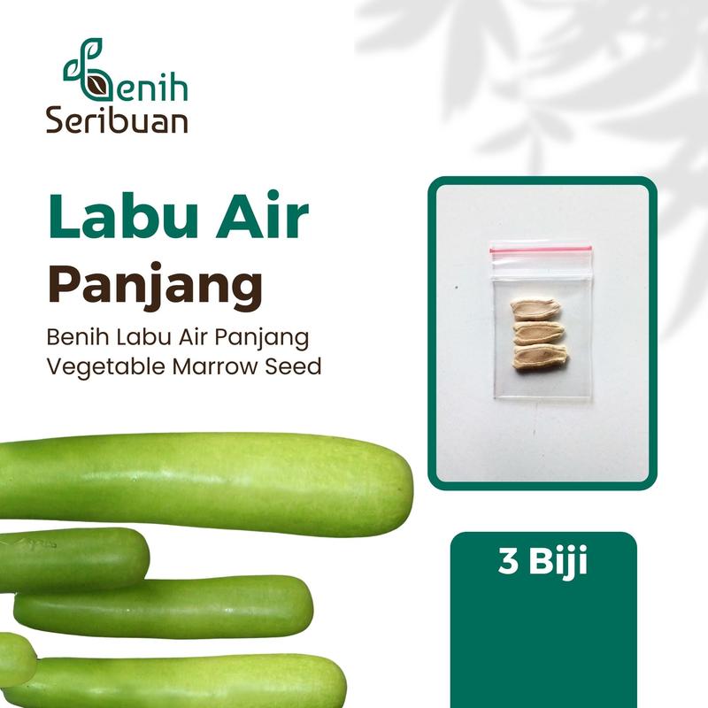 3 Benih Labu Air Panjang Balistik Super Bibit Sayuran Unggul Bintang Asia Tanaman Sayur Berkualitas 0