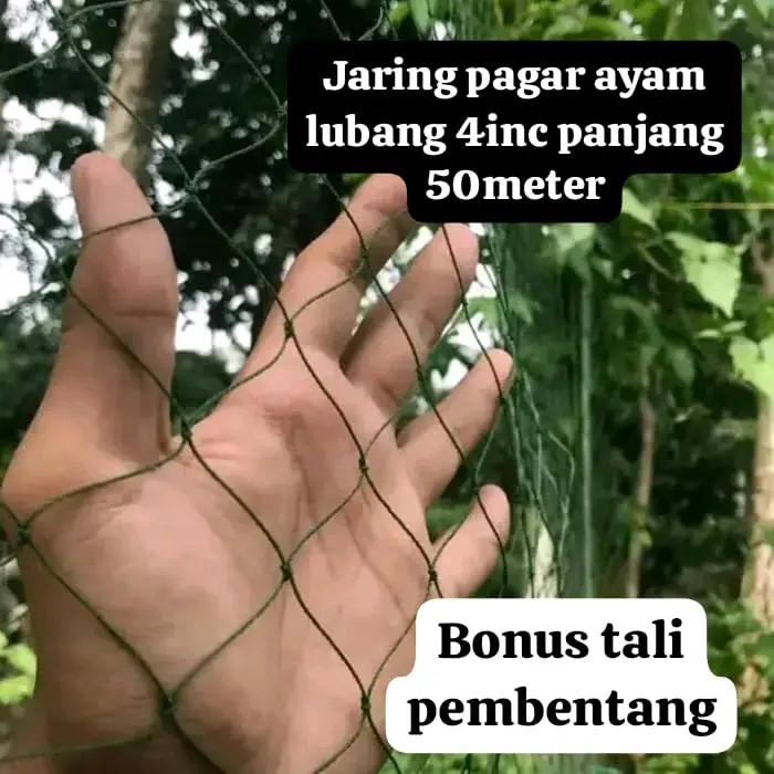 jaring pagar ayam ukuran 1.5 x 50meter