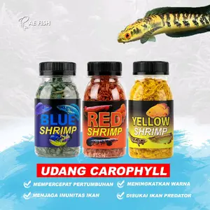 udang kering pakan ikan channa udang pakan chana maru ys andrao bluepurcha
