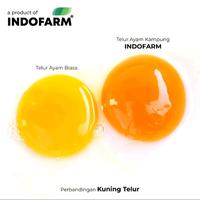 Gambar BUNDLE 2 KOTAK TELUR AYAM KAMPUNG OMEGA dari INDOFARM JAKARTA SELATAN Kota Administrasi Jakarta Selatan 2 Tokopedia